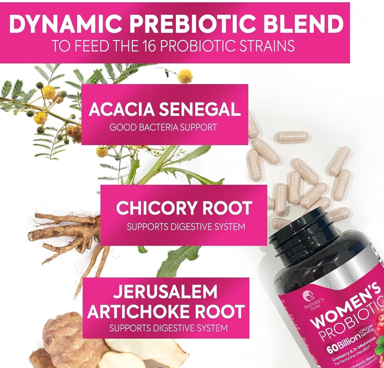 Probiotics for Women - for Digestive Health, Immune Support, & Vaginal Health