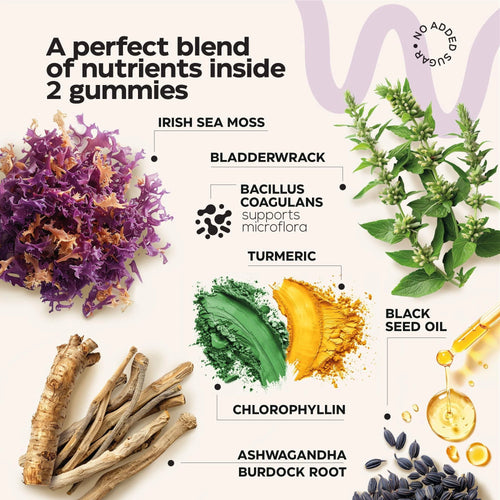 Multimineral Sea Moss Glow Gummies 3000 Mg Irish Seamoss for Immunity Thyroid